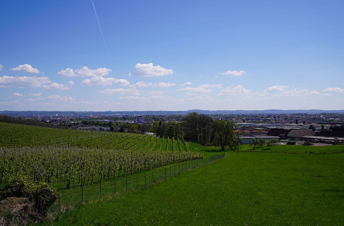 greenparadis_umgebung3